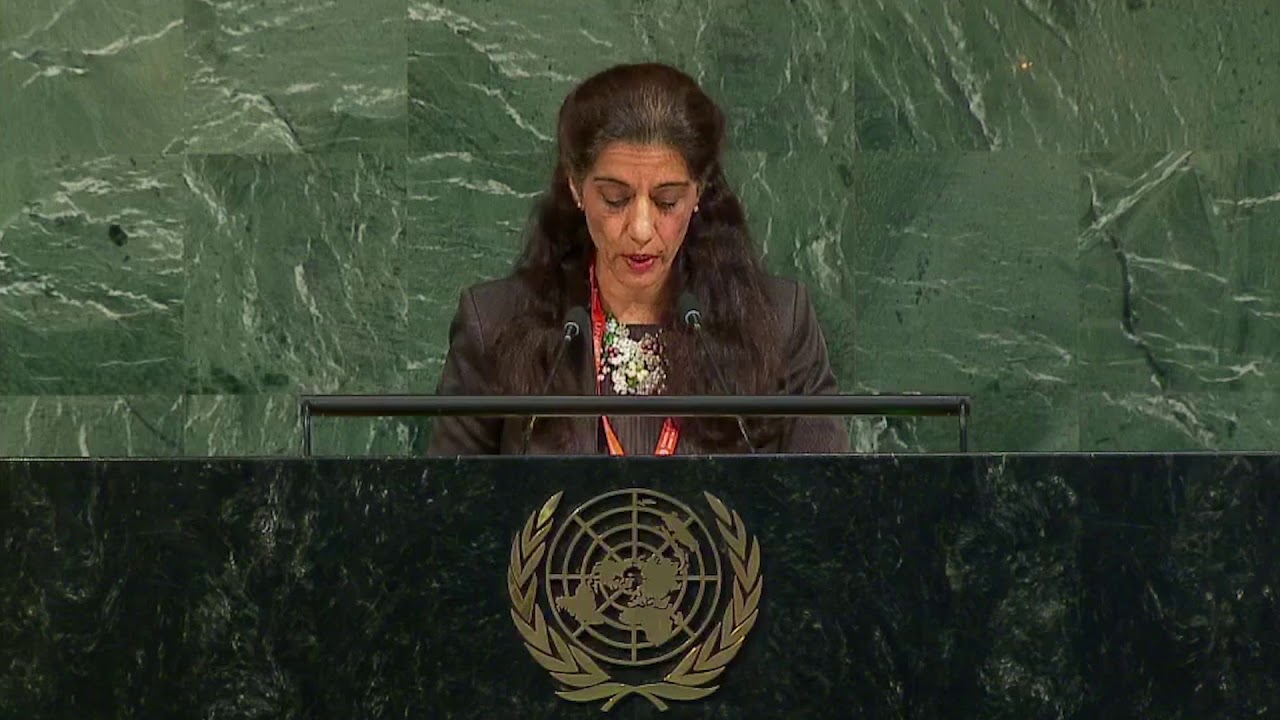 Video: Sanam Naraghi Anderlini’s Speech at UNGA during the 6th Review of the UN Counter Terrorism Strategy